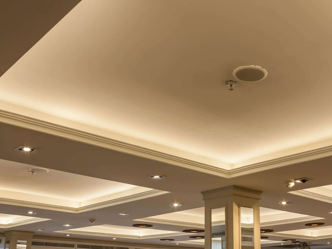 visuel_profil-staff Visuel de profil Staff